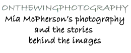 Mia McPherson’s On The Wing Photography Logo