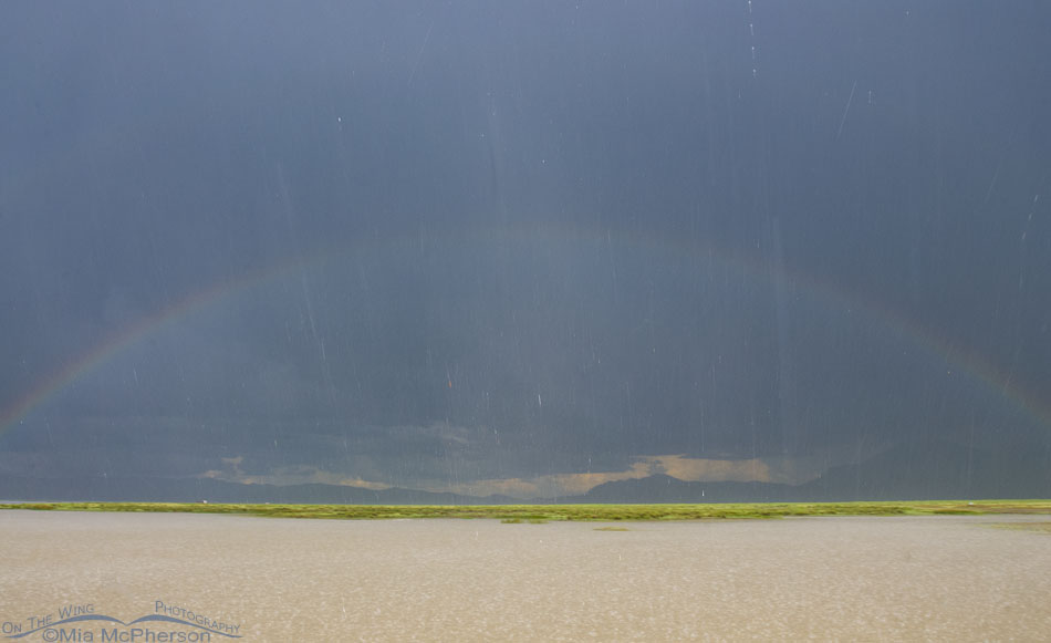 Red Rock Lakes NWR rainbow after a storm, Centennial Valley, Beaverhead County, Montana