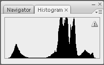 Common Raven Histogram