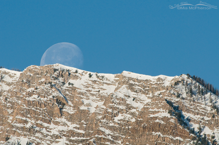 Moon set over the Stansbury Mountains