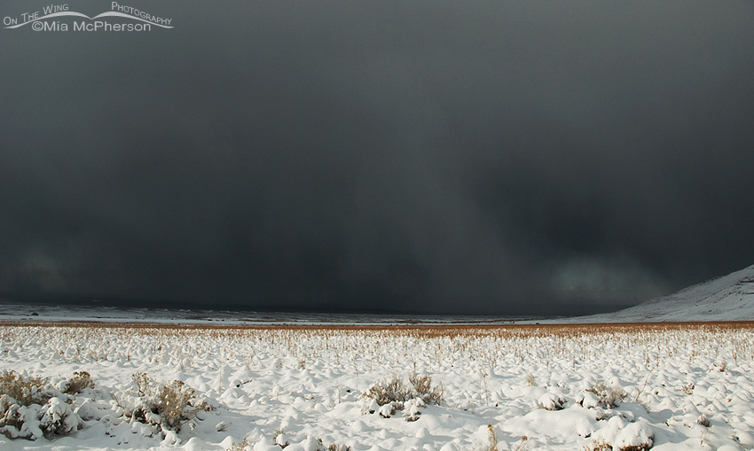 Snow Storm approaching Antelope Island