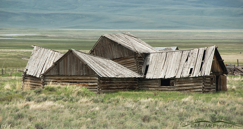 Old Barn on the way to Red Rock Lakes National Wildlife Refuge, Montana