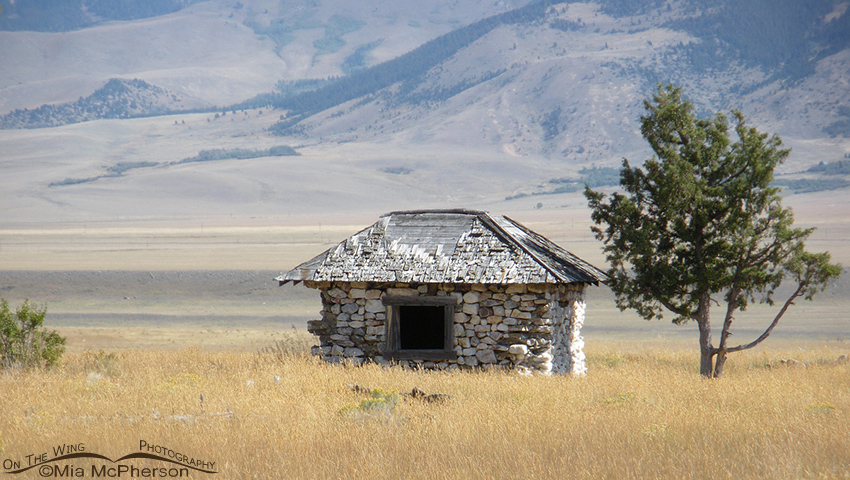 An old homestead in Madison County, Montana