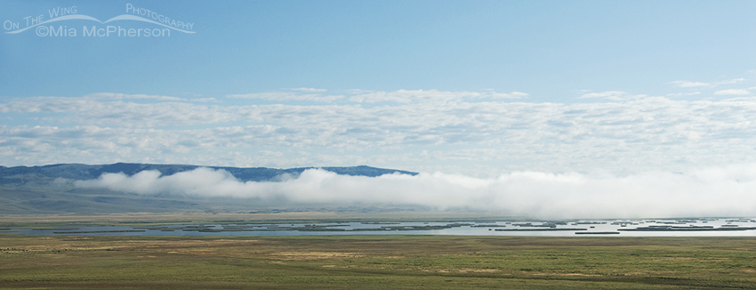 Lake mist over the Lower Lake at Red Rock Lakes NWR, Montana