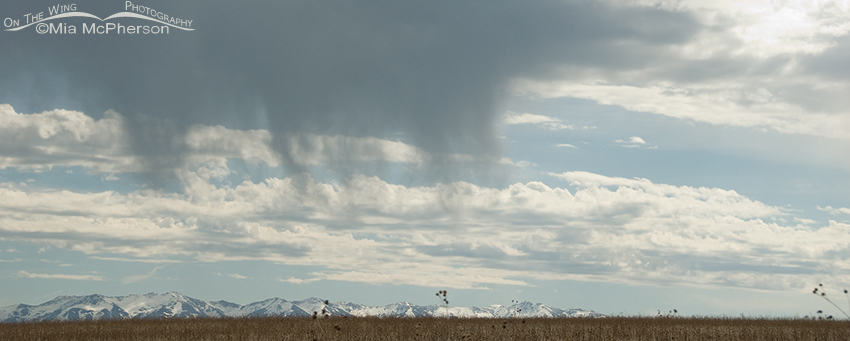 Virga over the Great Salt Lake and the Wasatch Mountains