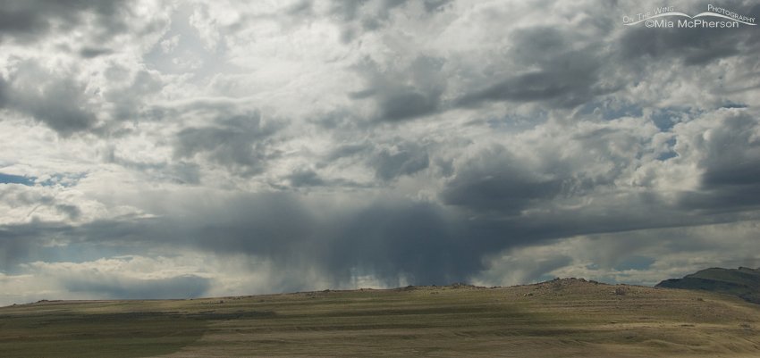 Virga near White Rock Bay7046