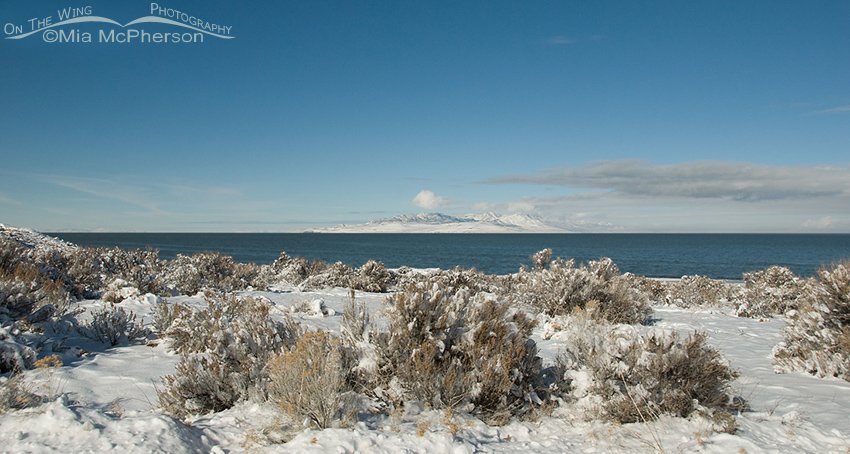 View of snow-covered Promontory Point from Egg Island Overlook