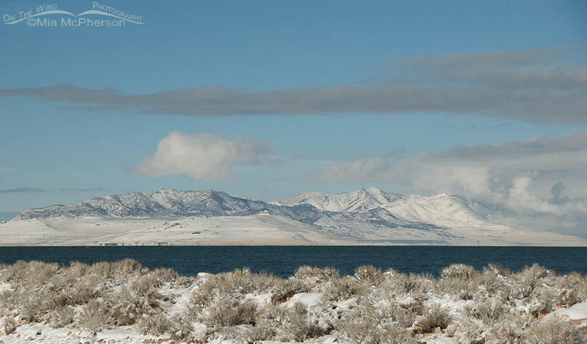 Promontory Mountains from Antelope Island