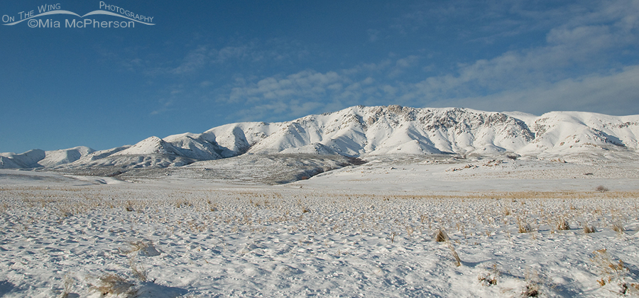 Antelope Island mountains covered in snow
