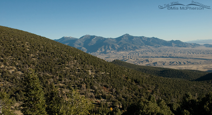 View of Mt. Moriah Wilderness Area in the Humboldt Toiyabe National Forest