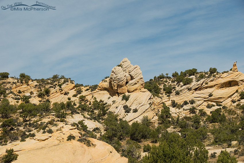 Sandstone Pinnacle at Red Fleet State Park