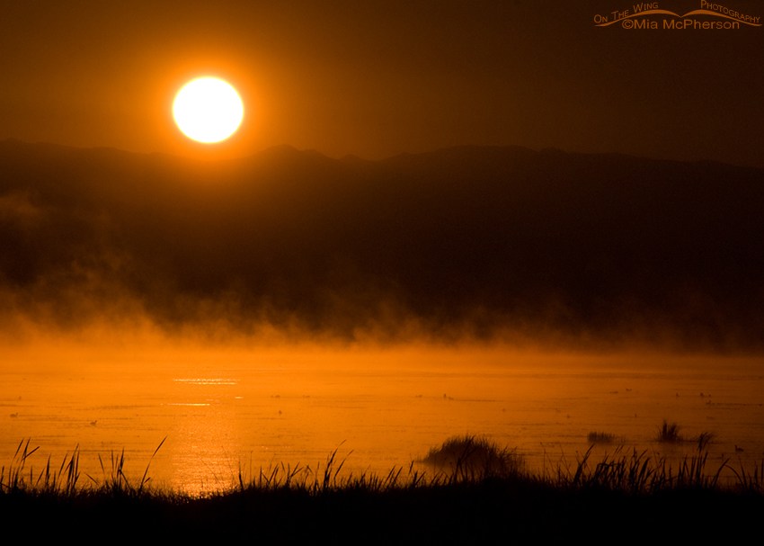 Fog and smoke at sunrise over the Lower Lake at Red Rock Lakes NWR, Centennial Valley, Beaverhead County, Montana