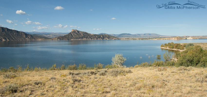 View from the camp site looking towards the Flaming Gorge Canyon