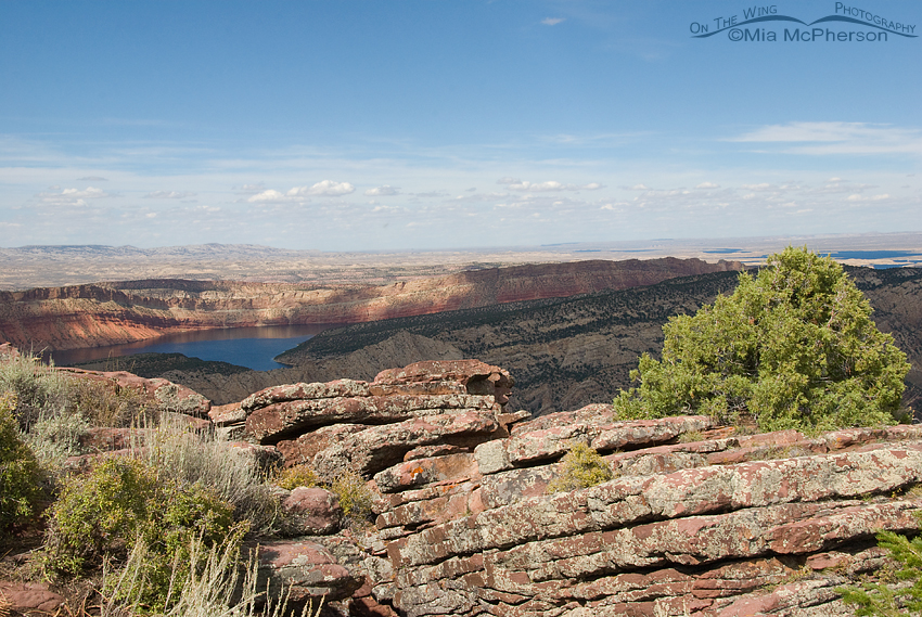 View of Flaming Gorge from the Dowd Mountain Overlook