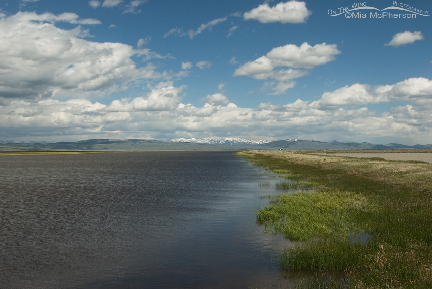 From the dam at the Lower Lake at Red Rock Lakes NWR, Centennial Valley, Beaverhead County, Montana