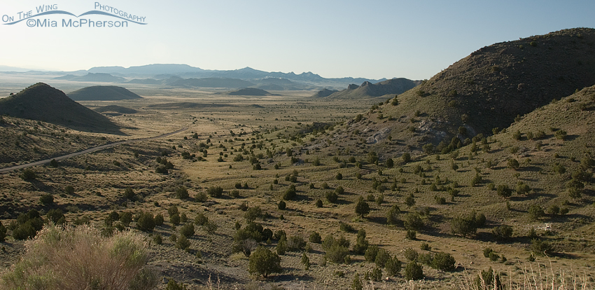 Pony Express Road to Fish Springs looking east, West Desert, Utah
