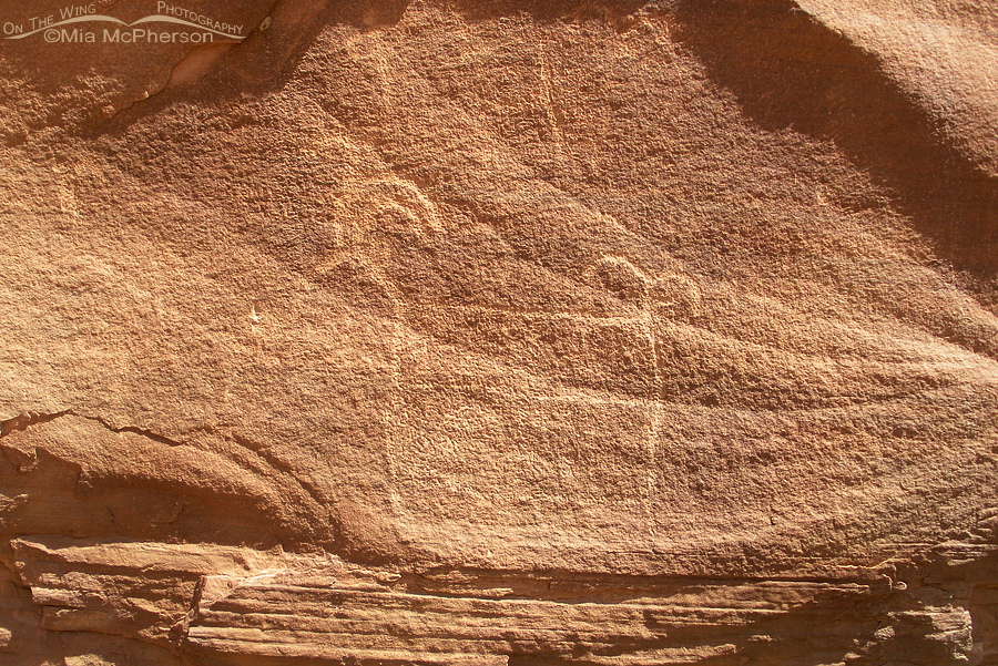 Sheep Petroglyph, San Rafael Swell, Utah