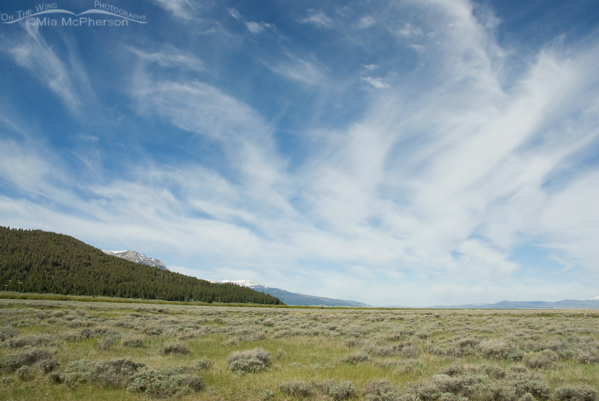 June skies over the Centennial Valley, Red Rock Lakes National Wildlife Refuge, Centennial Valley, Beaverhead County, Montana