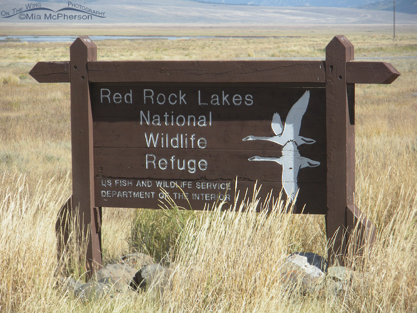 Welcome to Red Rock Lakes National Wildlife Refuge, Centennial Valley, Beaverhead County, Montana