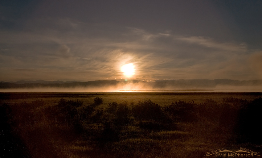 Morning mist at the lower lake of Red Rock Lakes National Wildlife Refuge