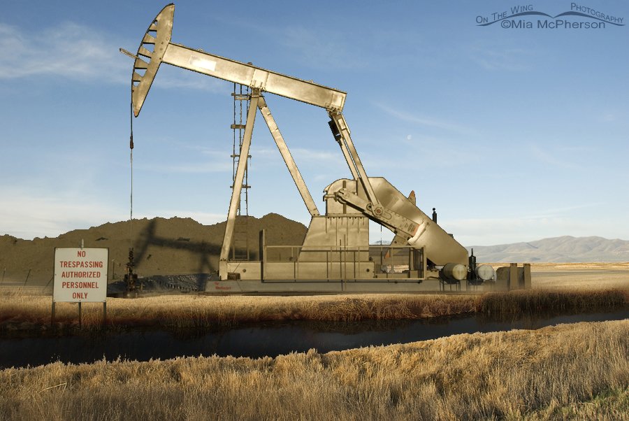 Bear River National Wildlife Refuge, Utah