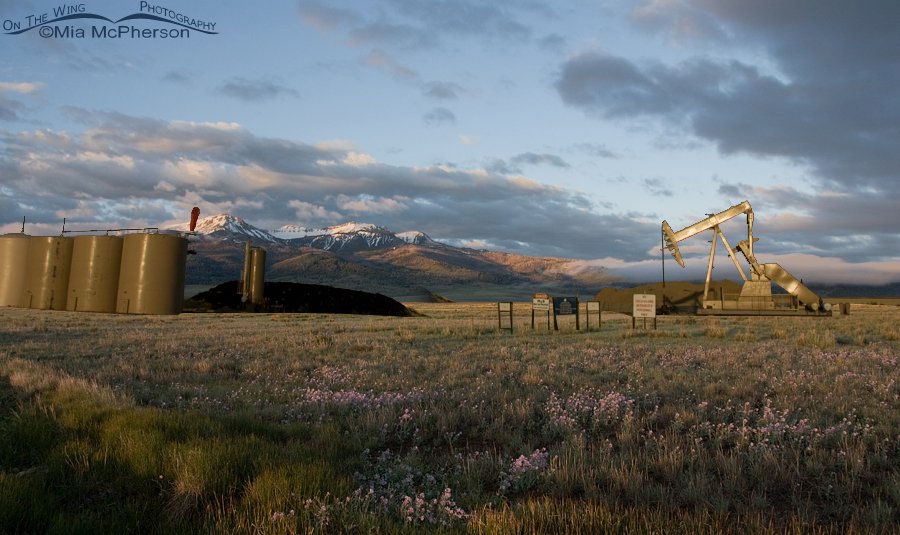 Centennial Mountain View from Red Rock Lakes National Wildlife Refuge, Montana