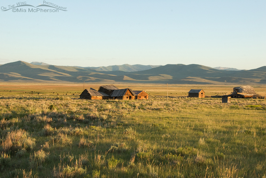 Old Barn in the Centennial Valley, Montana