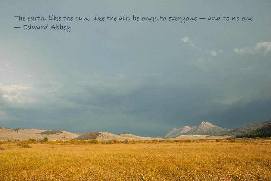 Stormy weather, mountains and golden grasses
