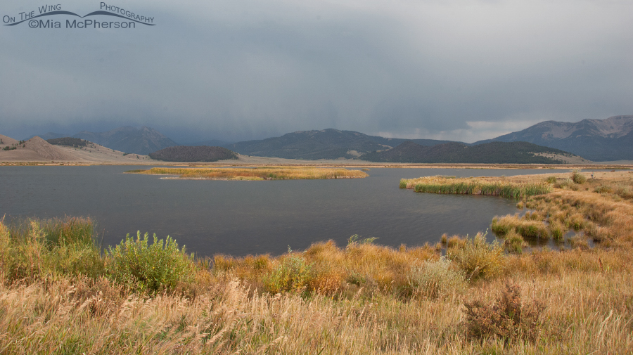 Stormy weather over Wigeon Pond, Red Rock Lakes National Wildlife Refuge, Centennial Valley, Beaverhead County, Montana