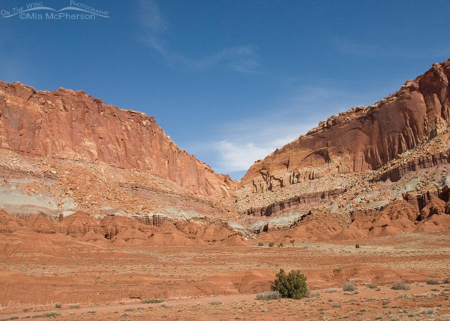 Utah - The State with Billions of Views