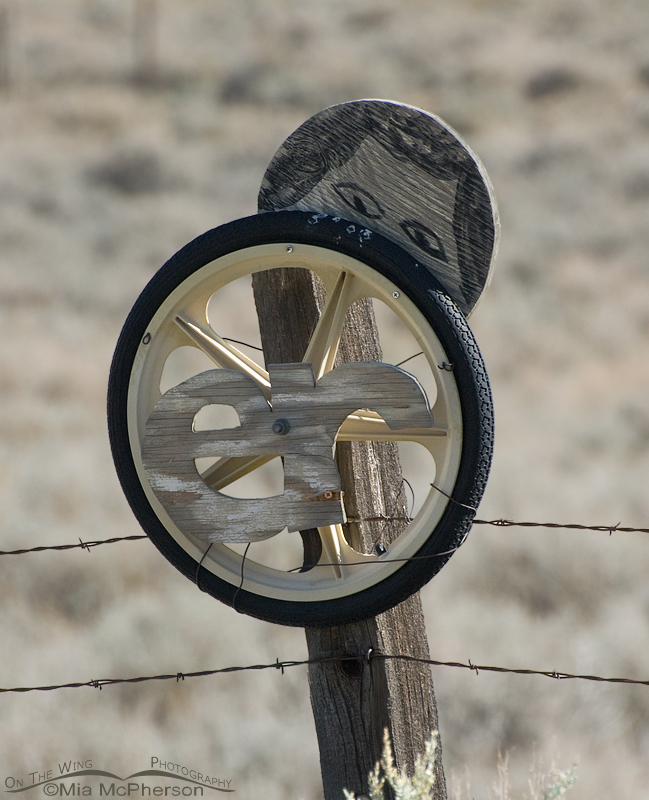 Wheel+ER+Peek,Great Basin National Park, White Pine County, Nevada