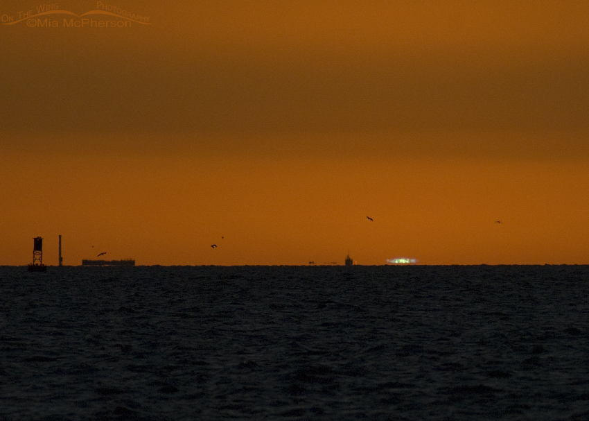 Green Flash over the Gulf of Mexico from Fort De Soto