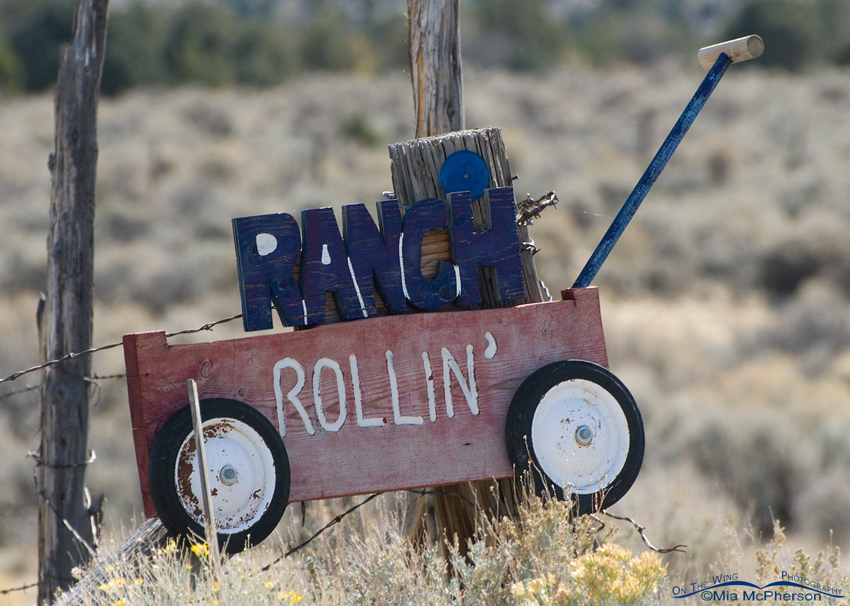 Rollin Ranch