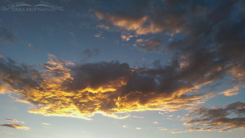 The setting sun on the clouds over Gunlock State Park I