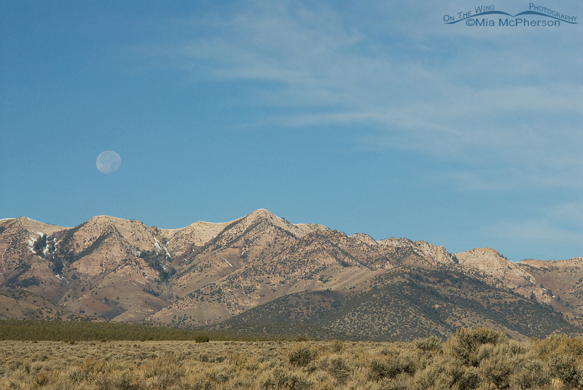 The moon setting over the Stansbury Mountains