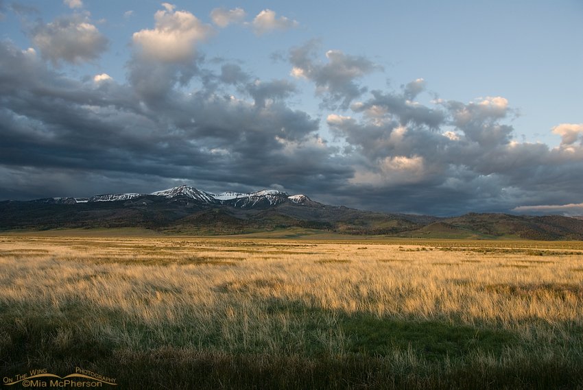 Stormy sky over Red Rock Lakes National Wildlife Refuge