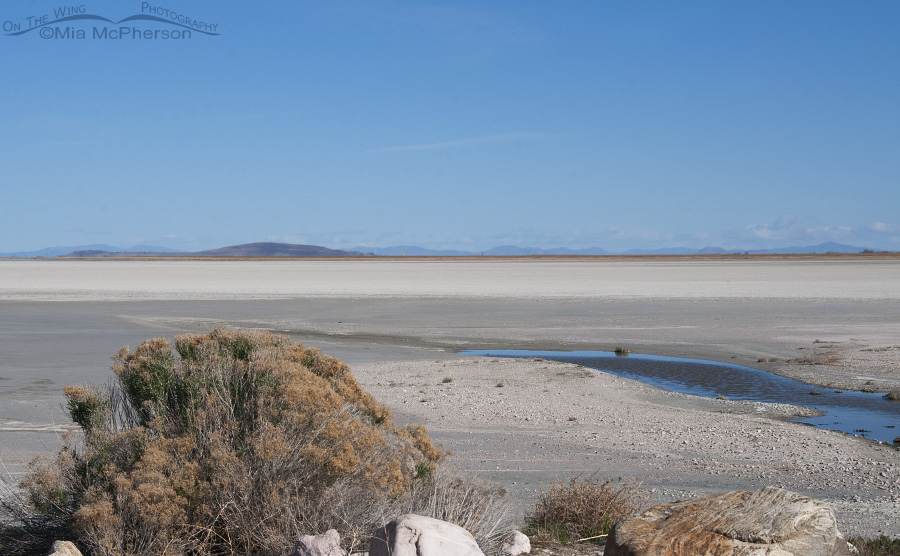 Great Salt Lake as seen from the Antelope Island Causeway on April 12, 2015