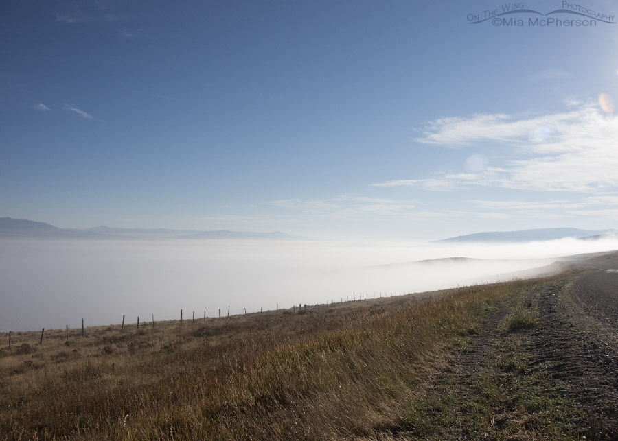 Centennial Valley completely filled with fog