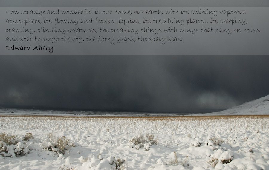 Antelope Island in a Winter Storm ~ Edward Abbey Quote