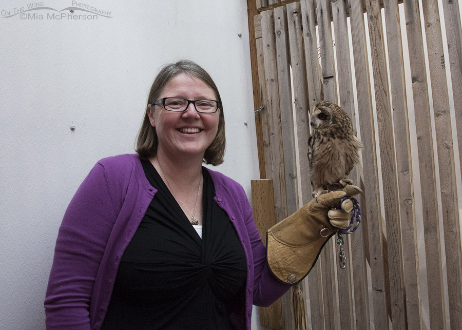 Nikki Wayment with Galileo the Short-eared Owl in his mew