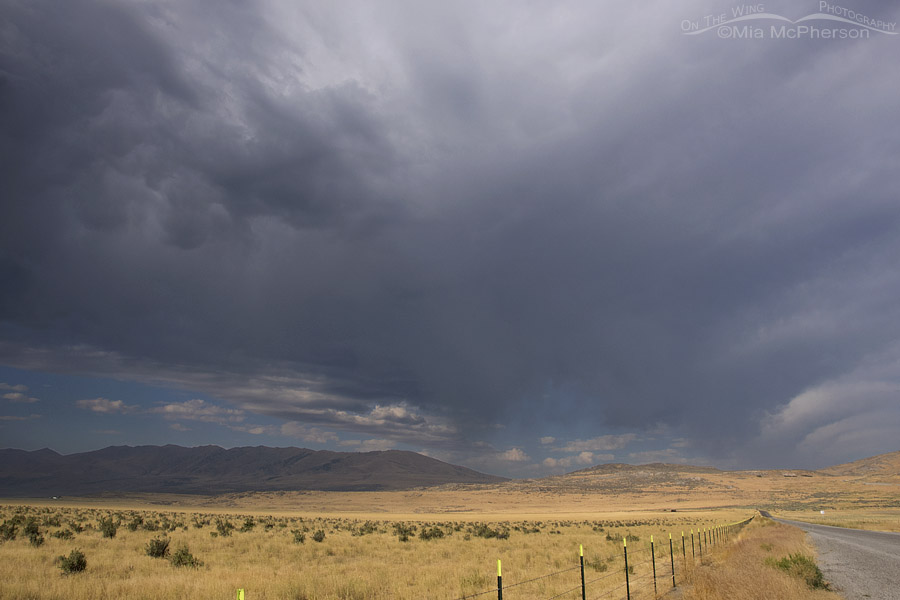 Stormy weather over Box Elder County