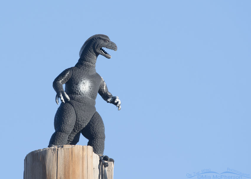 Godzilla Reigns over the Salt Lake County Landfill