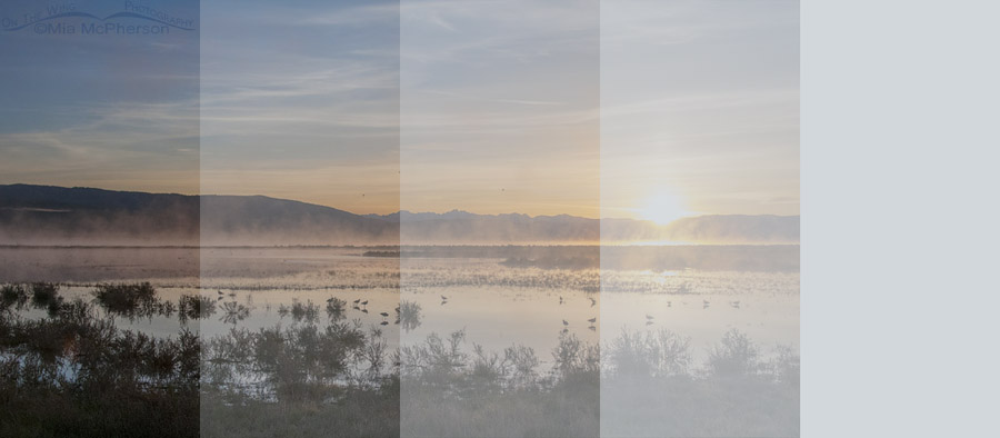 Morning Mist at the Lower Lake of Red Rock Lakes NWR