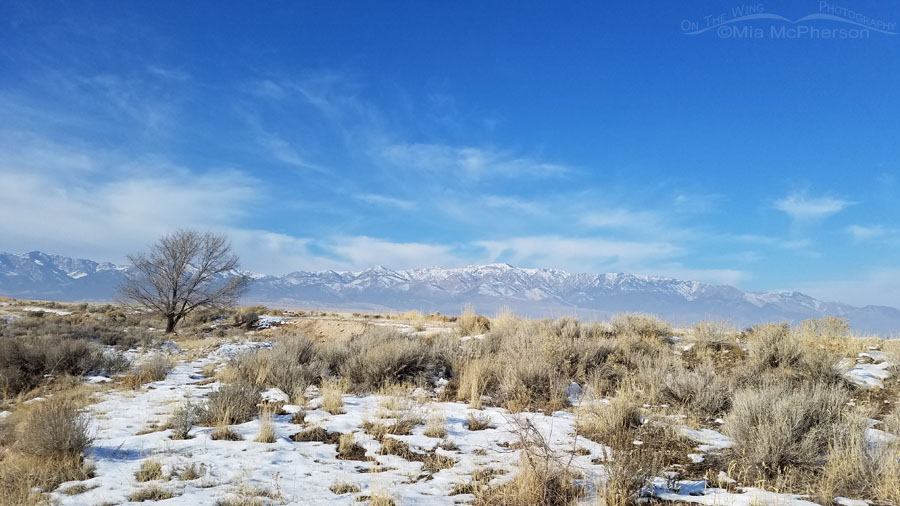 Inversion creeping into the Stansbury Mountains, West Desert, Tooele County, Utah