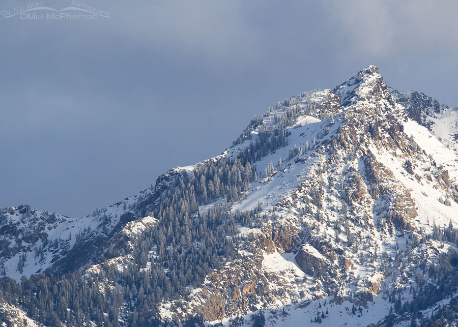 Sunlight on a snow covered Wasatch Mountain peak, Salt Lake County, Utah