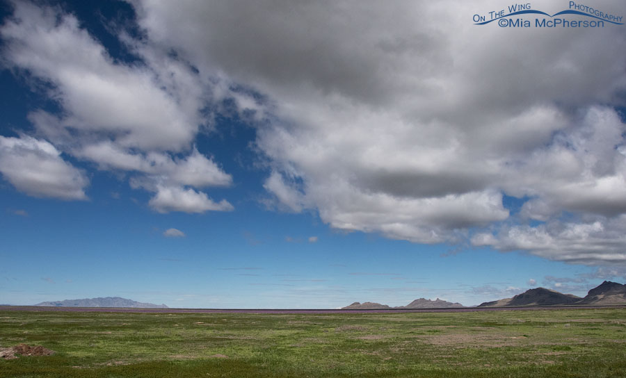 Big sky and a West Desert view, West Desert, Utah