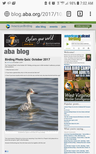 Birding Photo Quiz: October 2017