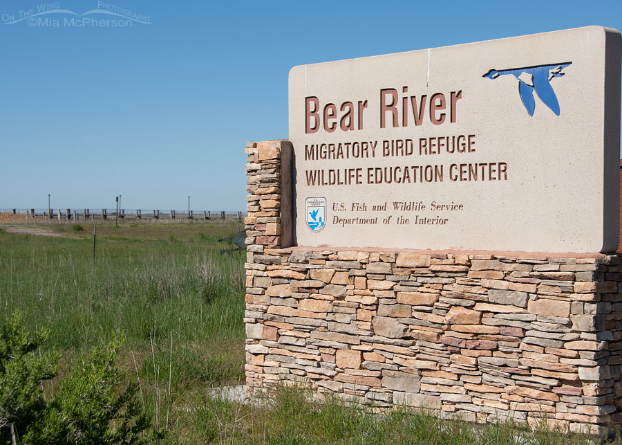 Bear River Migratory Bird Refuge entrance, Box Elder County, Utah