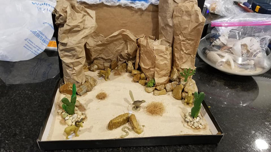 Close up of Luke's Desert diorama