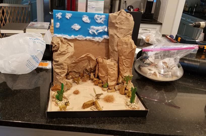 Full view of Luke's Desert SWOT analysis diorama